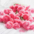 Bright pink ranunculus flowers arranged on a whitewashed wood surface